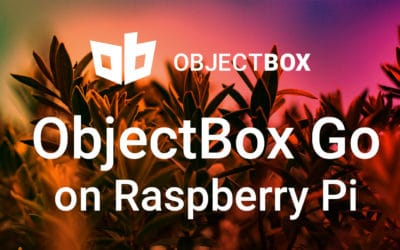 How to set up ObjectBox Go on Raspberry Pi