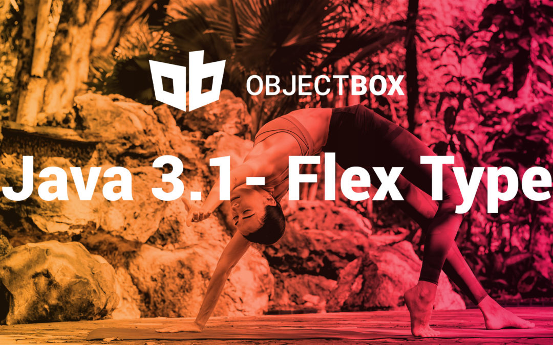 ObjectBox Database Java 3.1 – Flex type