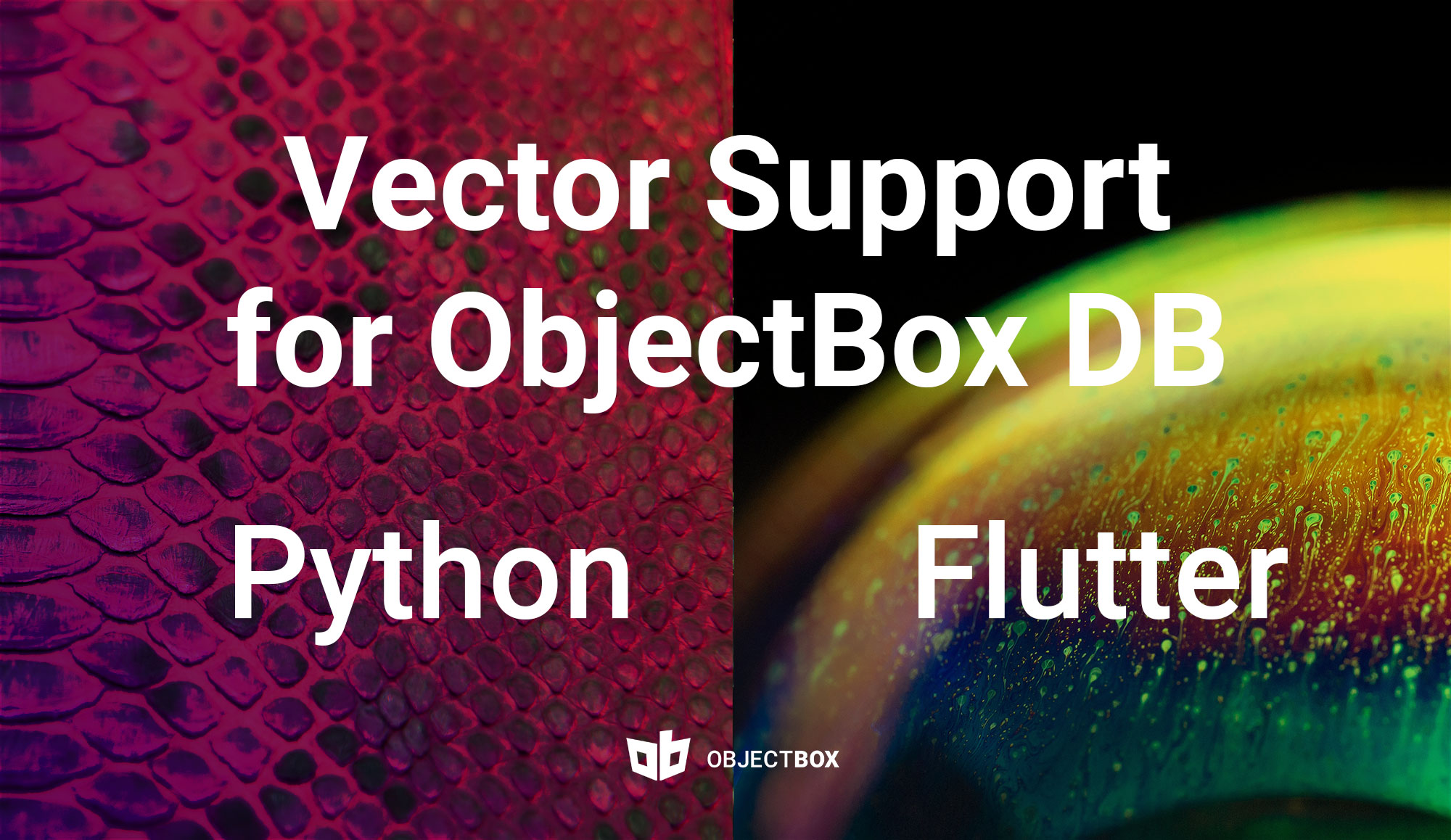 vector support for the ObjectBox database